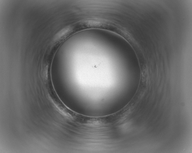 X0000079280454200611251626