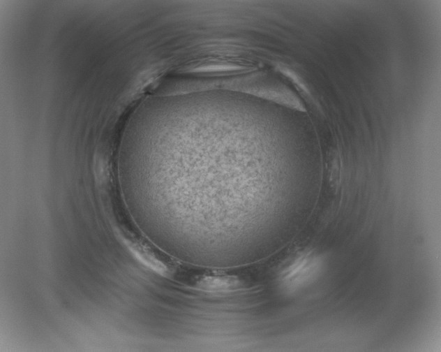 X0000079280455200611251626