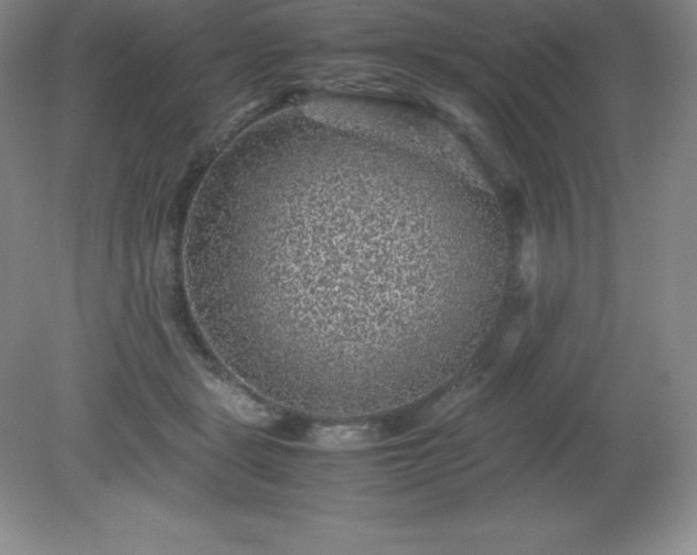 X0000079280461200611251626