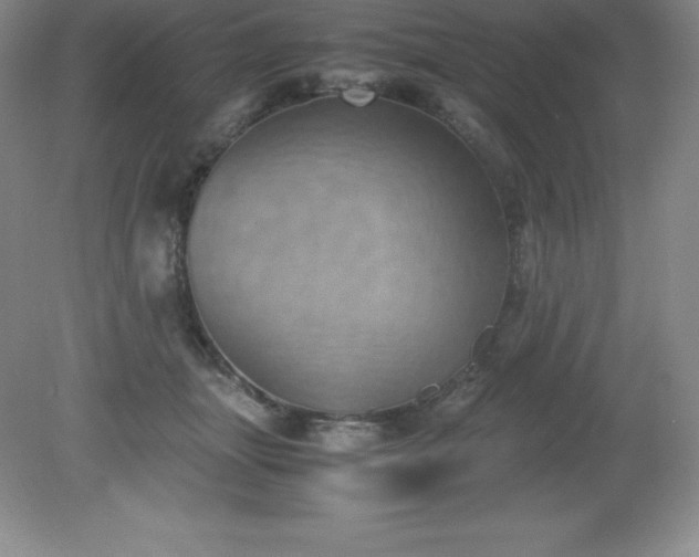 X0000079280463200611251626