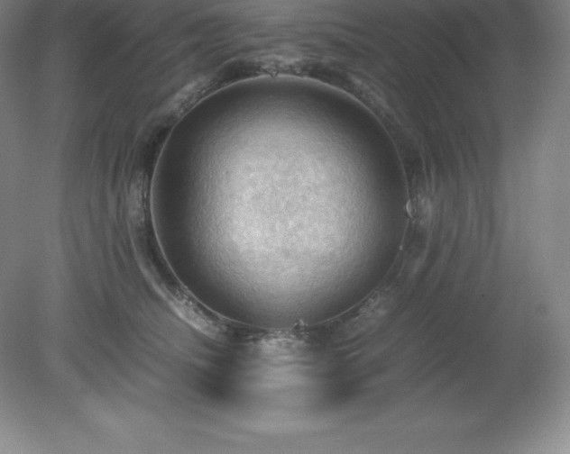 X0000079280468200611251626