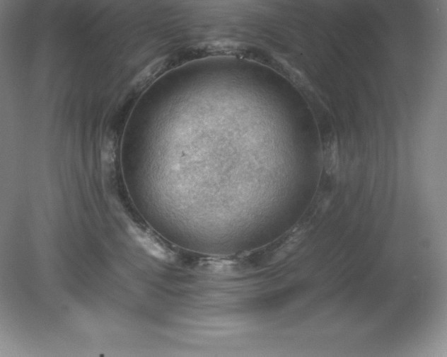 X0000079280472200611251626