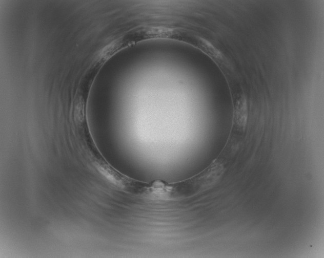 X0000079280474200611251626