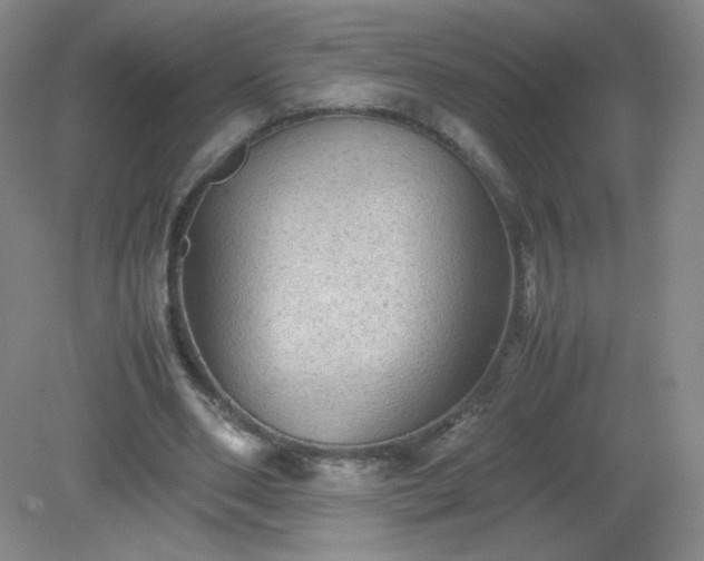 X0000079280486200611251625