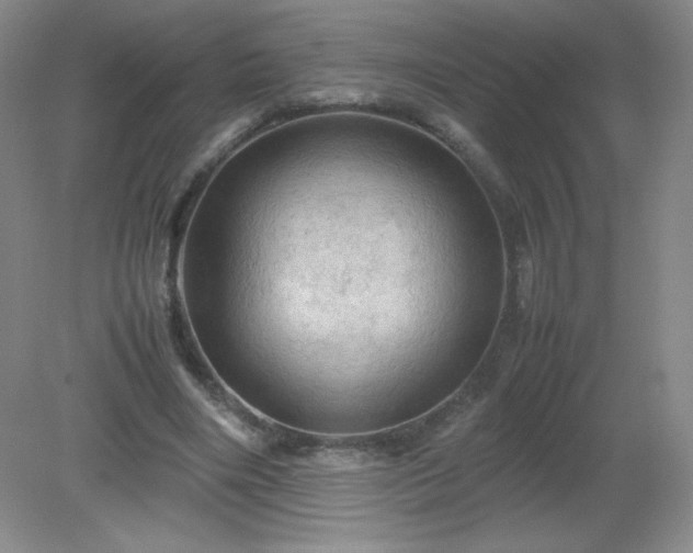 X0000079280490200611251625