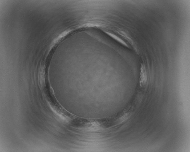X0000079280492200611251625