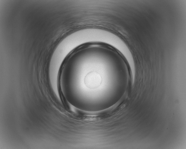 X0000079280499200611251625