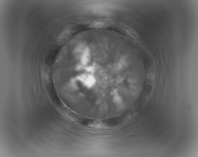 X0000079280503200611251625