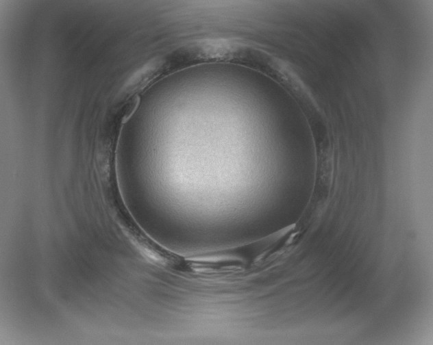 X0000079280505200611251625