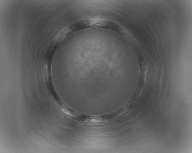 X0000079280506200611251625