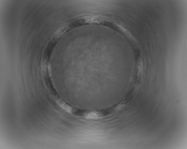 X0000079280513200611251625