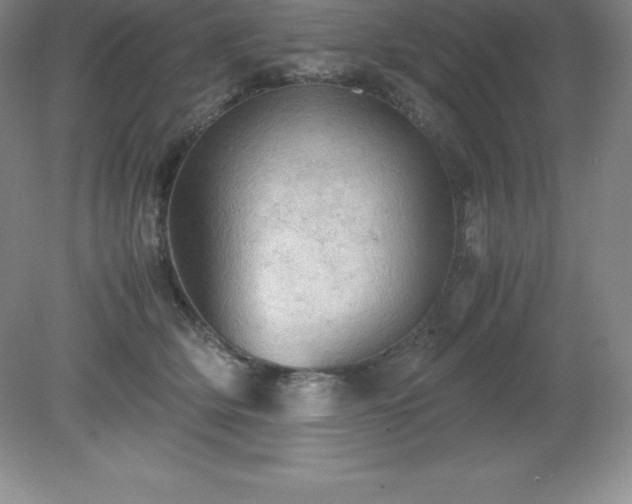 X0000079280514200611251625