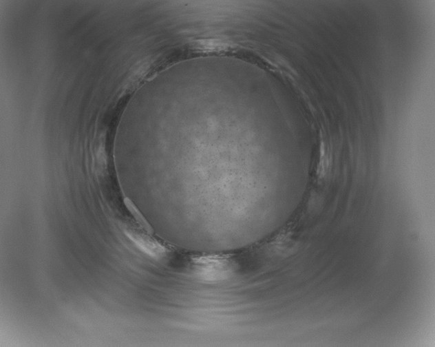 X0000079280516200611251625