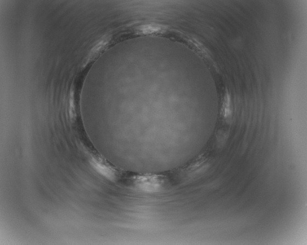 X0000079280524200611251625