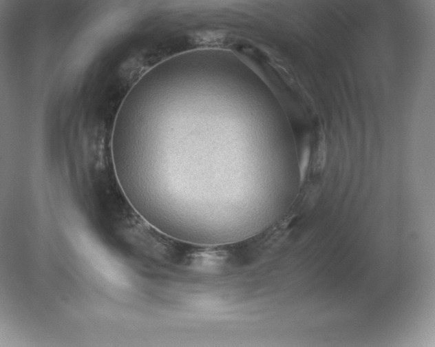 X0000079280525200611251625