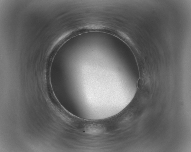 X0000079280535200611251624