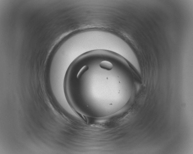 X0000079280540200611251624