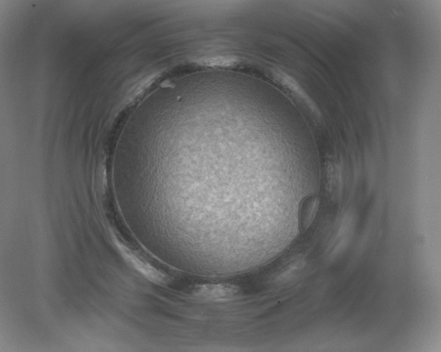 X0000079280541200611251624
