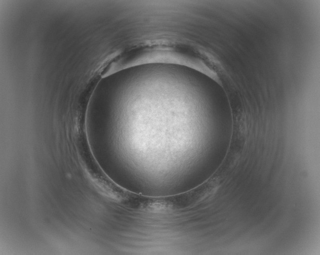 X0000079280546200611251624