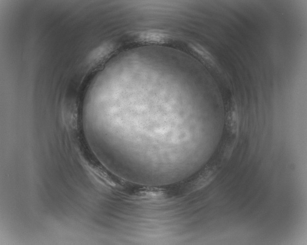 X0000079280552200611251624