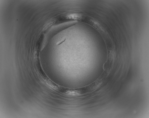 X0000079280557200611251624
