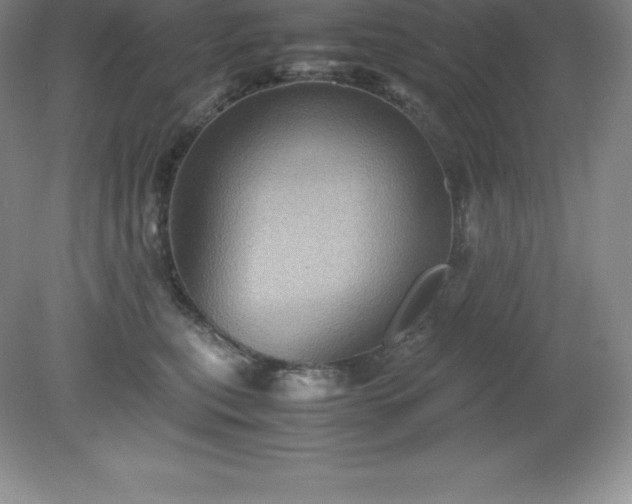 X0000079280567200611251624