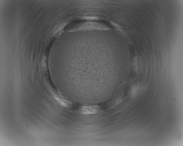 X0000079280571200611251624