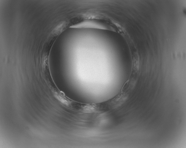 X0000079280574200611251624