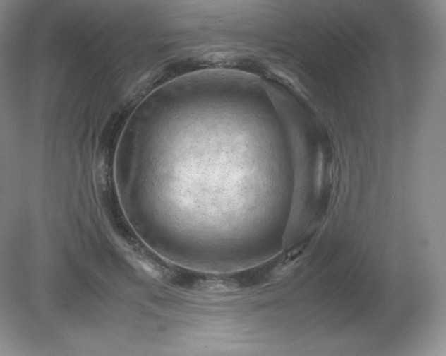 X0000079280597200611251623