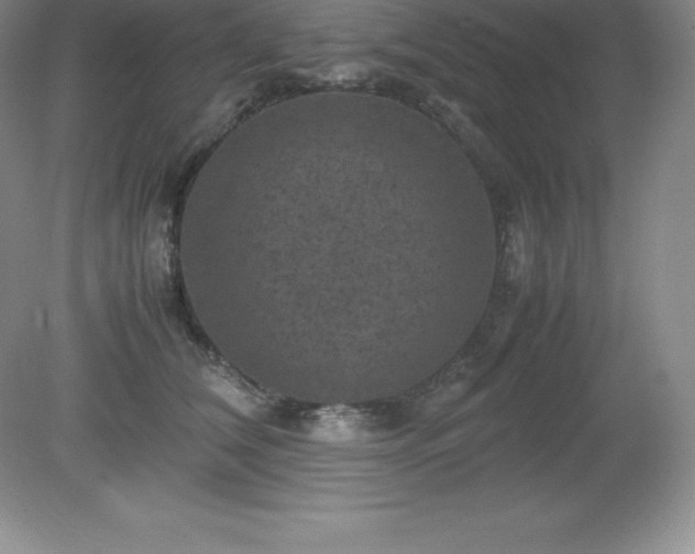 X0000079280612200611251623