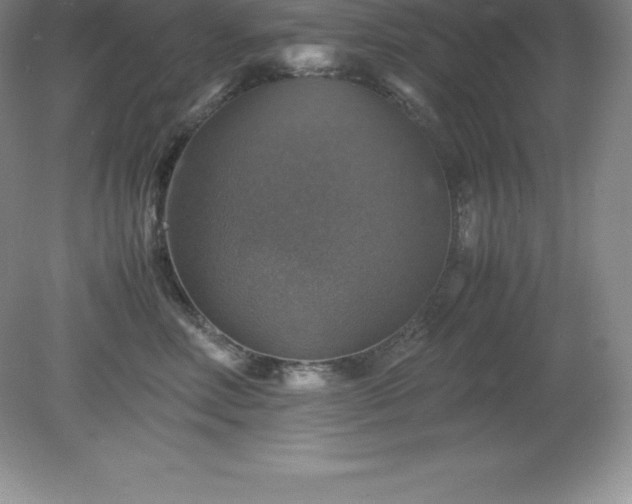 X0000079280618200611251623