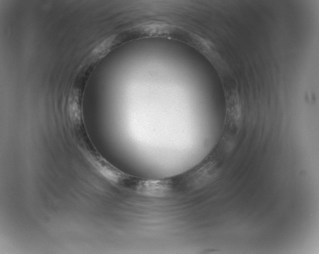 X0000079280622200611251623