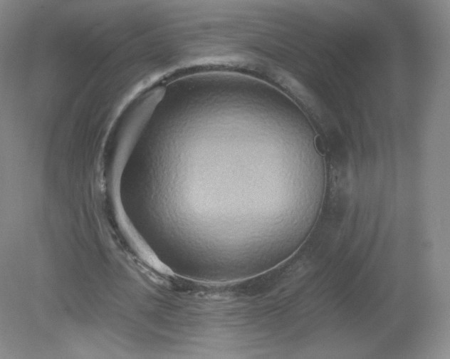 X0000079280628200611251622