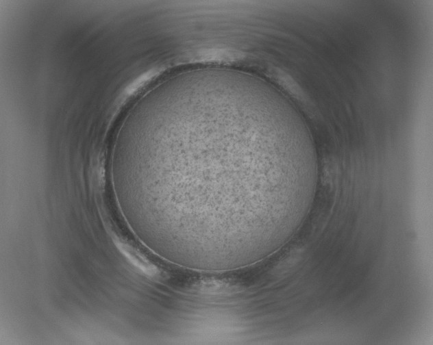 X0000079280632200611251622