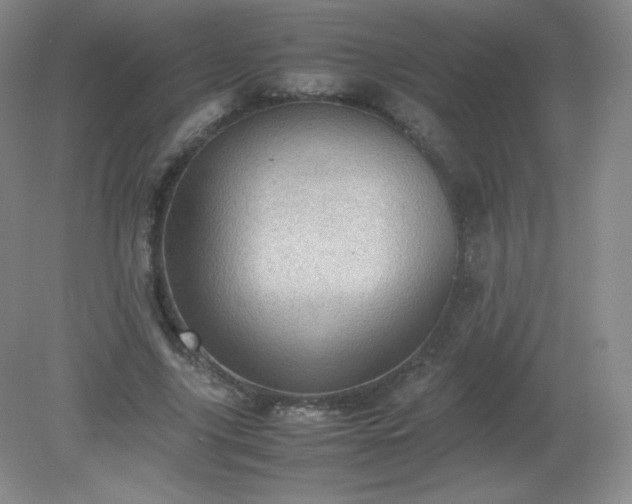 X0000079280635200611251622