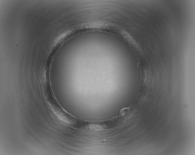 X0000079280636200611251622