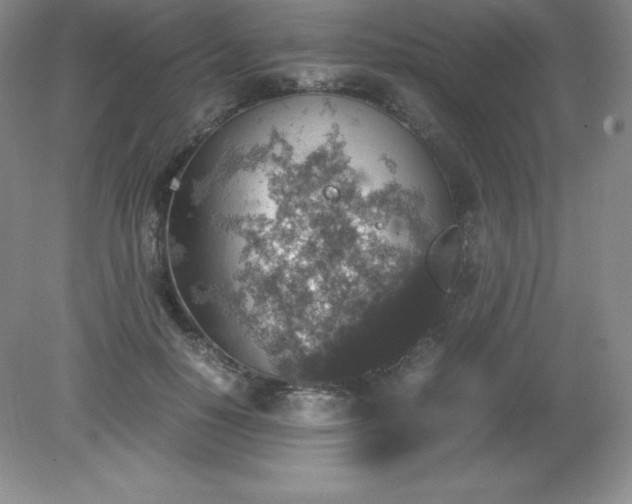 X0000079280650200611251622