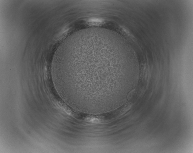 X0000079280655200611251623