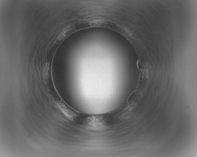 X0000079280660200611251623