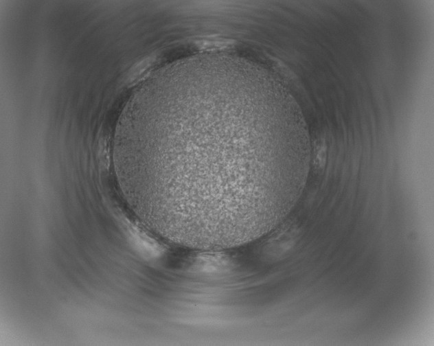 X0000079280666200611251623