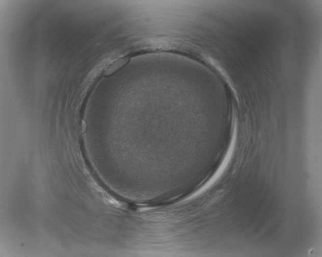 X0000079280673200611251622