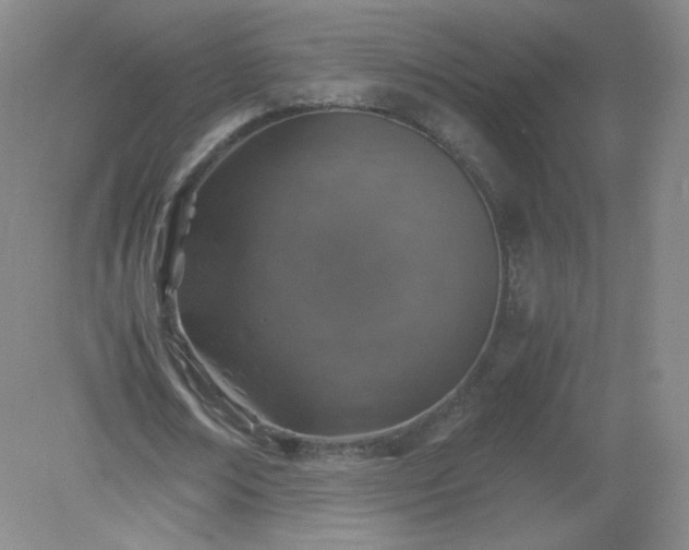 X0000079280674200611251622