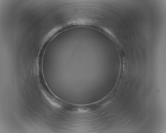 X0000079280678200611251622