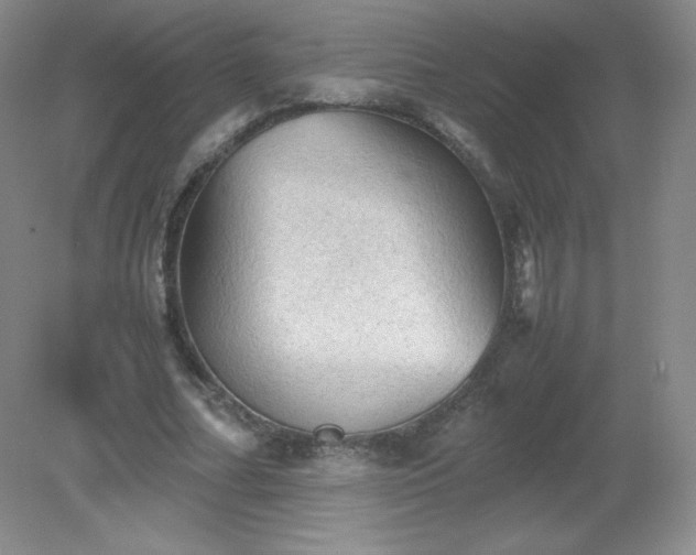 X0000079280682200611251622