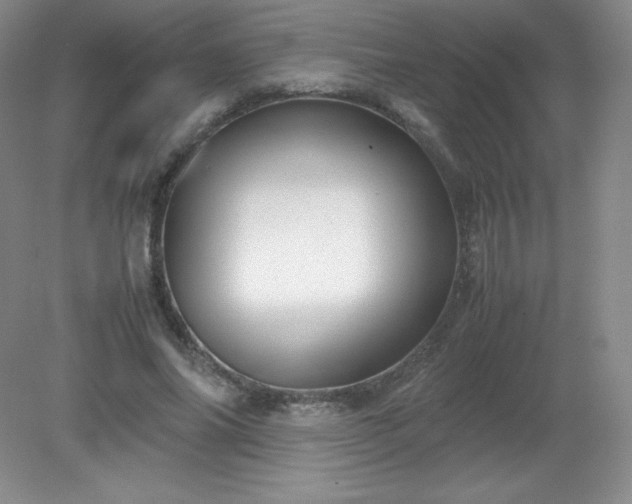 X0000079280686200611251622