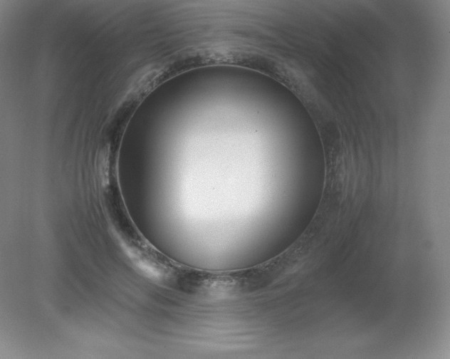 X0000079280694200611251622