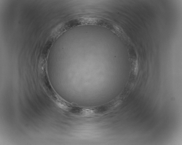 X0000079280701200611251622