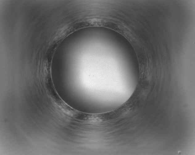X0000079280702200611251622