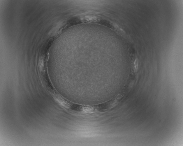 X0000079280709200611251621