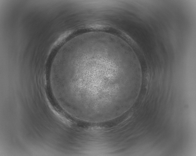 X0000079280734200611251621